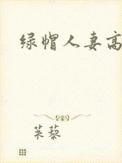 绿帽人妻高h文