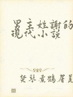 男主姓谢的总裁现代小说封面
