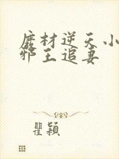 废材逆天小姐之邪王追妻