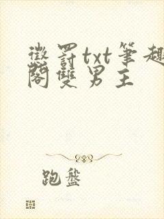 惩罚txt笔趣阁双男主