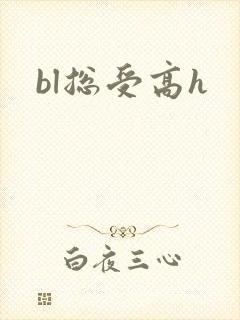 bl总受高h