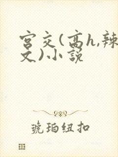 宫交(高h,辣文)小说