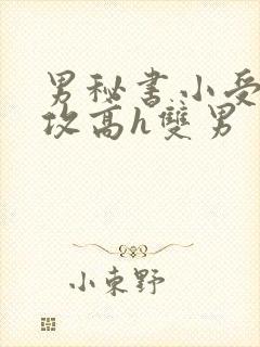 男秘书小受引诱攻高h双男