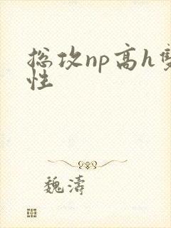总攻np高h双性