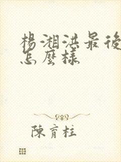 杨湘洪最后结局怎么样