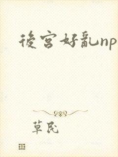 后宫好乱np