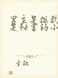 男主是总裁女主是秘书的小说封面