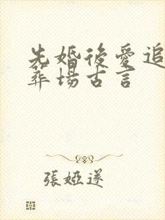 先婚后爱追妻火葬场古言
