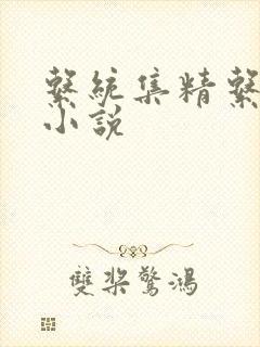系统集精系统 小说