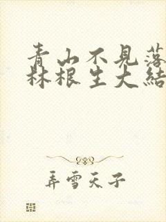 青山不见落花红林根生大结局封面