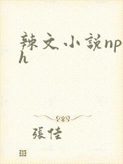 辣文小说np高h