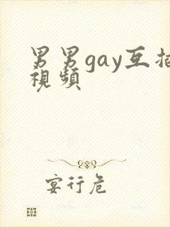 男男gay互插视频