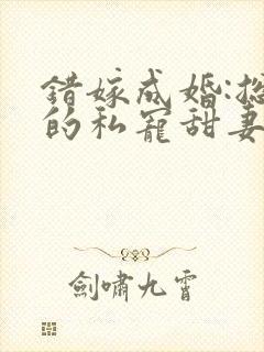 错嫁成婚:总裁的私宠甜妻短剧