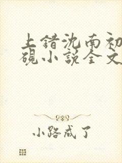 上错沈南初陆时砚小说全文免费阅读封面
