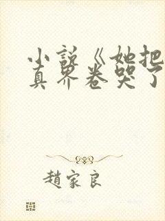小说《她把全修真界卷哭了》封面