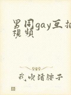 男同gay互插视频封面
