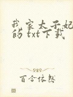 我家太子妃超凶的 txt下载