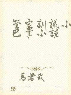 管家训诫小少爷巴掌小说封面