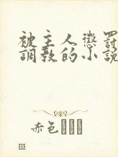 被主人惩罚玩弄调教的小说