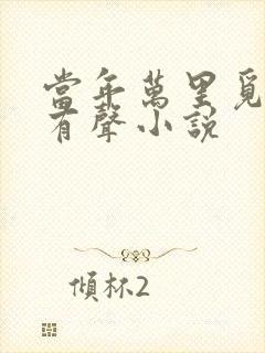 当年万里觅封侯有声小说