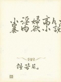 小淫妇高h文黄暴肉欲小说