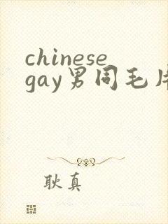 chinesegay男同毛片