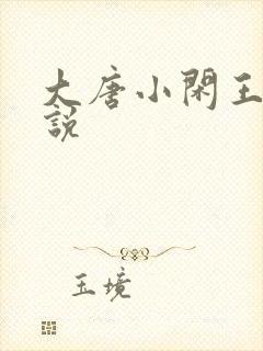 大唐小闲王 小说