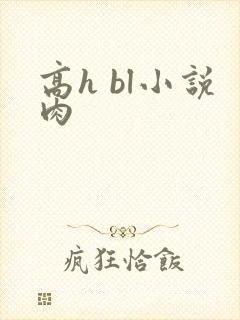 高h bl小说肉