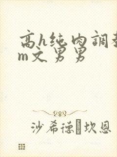 高h纯肉调教sm文男男