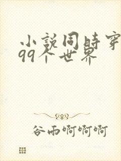 小说同时穿越了99个世界