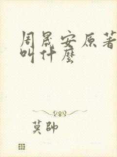 周晟安原著小说叫什么