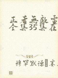 正者无敌电视剧全集35集在线播放封面