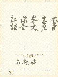 许你半生不见小说全文免费阅读封面