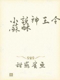 小说神王令秦天,苏酥