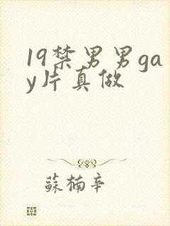 19禁男男gay片真做封面