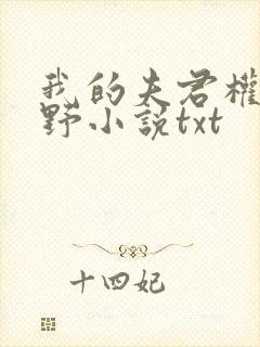 我的夫君权倾朝野小说txt封面