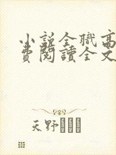 小说全职高手免费阅读全文无窗口