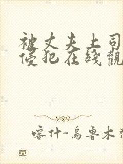 被丈夫上司持久侵犯在线观看封面
