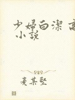 少妇白洁 高义 小说封面