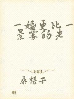 一婚更比一婚高 晨雾的光