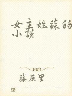 女主姓苏的古代小说