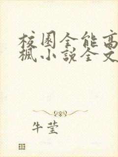 校园全能高手季枫小说全文