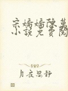 宋娇娇陈万里的小说免费阅读无弹窗