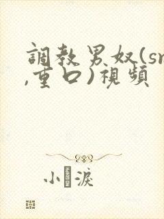 调教男奴(sm,重口)视频