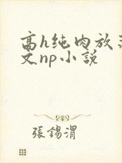 高h纯肉放荡h文np小说封面