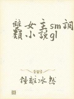 双女主sm调教类小说gl