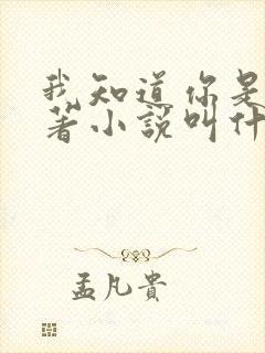 我知道你是谁原著小说叫什么名字