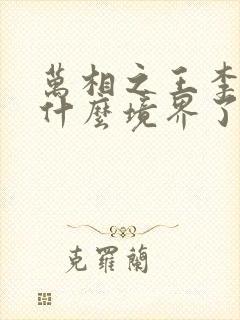 万相之王李洛到什么境界了
