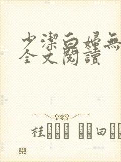 少洁白妇无删减全文阅读