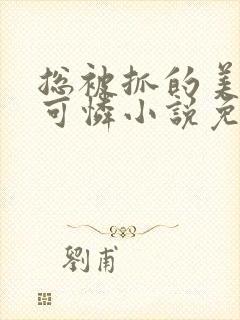 总被抓的美貌小可怜小说免费阅读